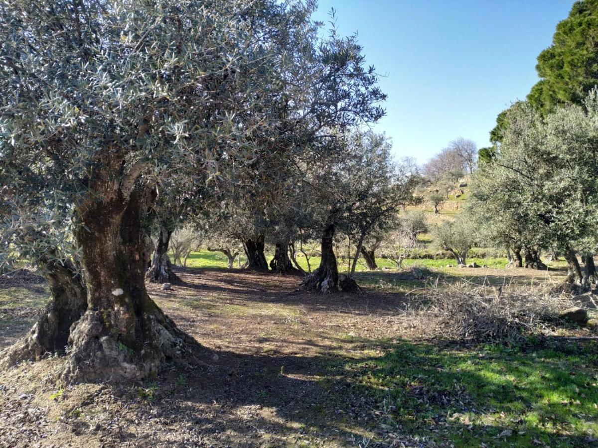 Casa Rural La Picota Valverde de la Vera エクステリア 写真
