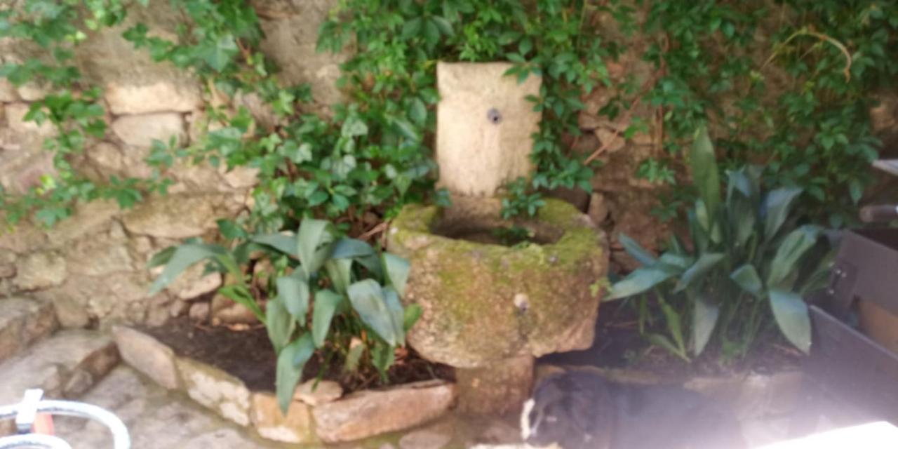 Casa Rural La Picota Valverde de la Vera エクステリア 写真