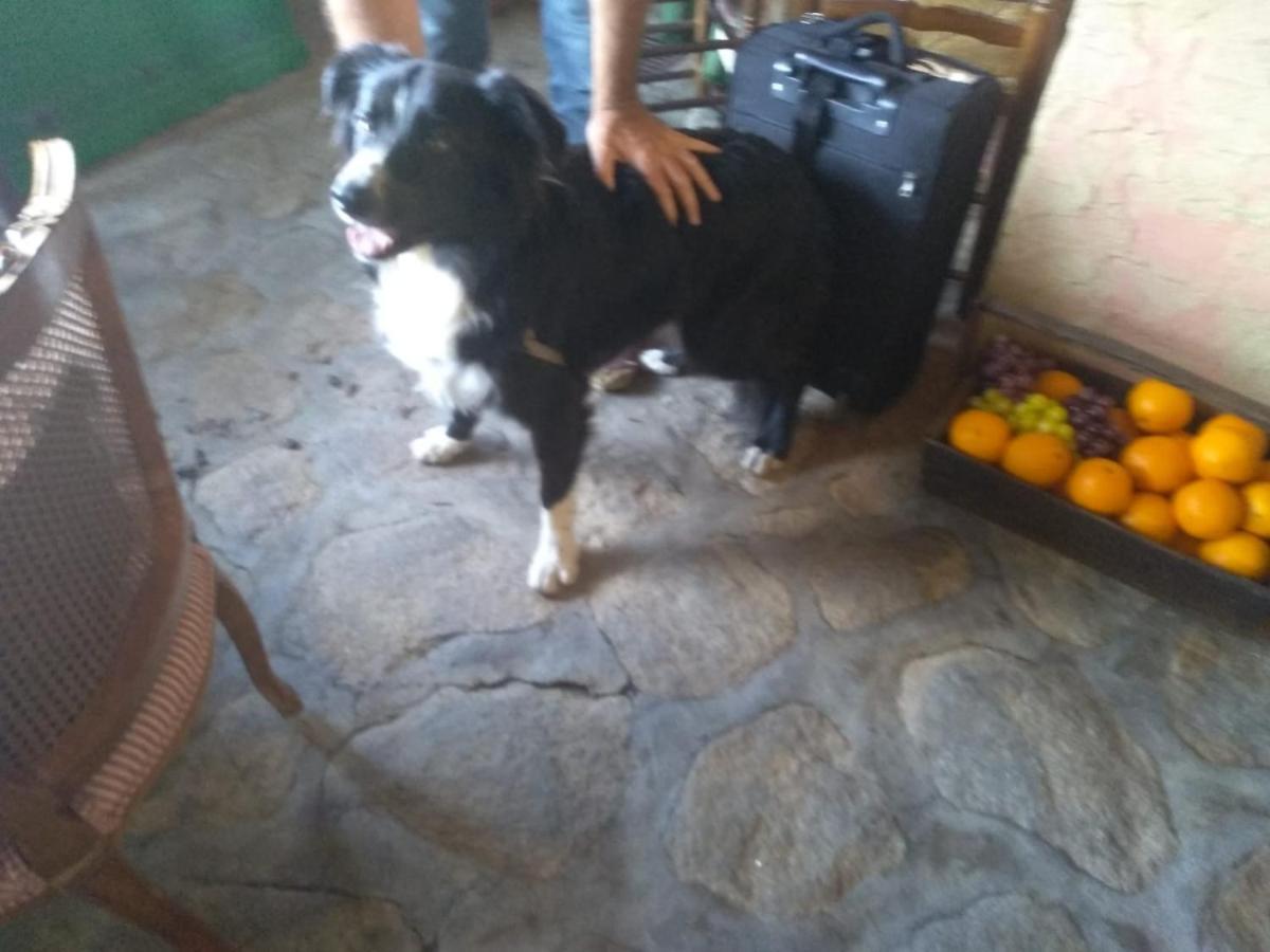 Casa Rural La Picota Valverde de la Vera エクステリア 写真