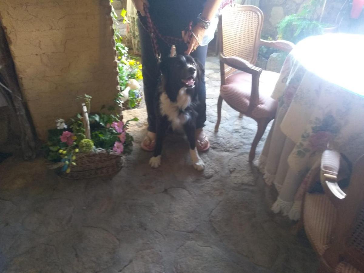 Casa Rural La Picota Valverde de la Vera エクステリア 写真